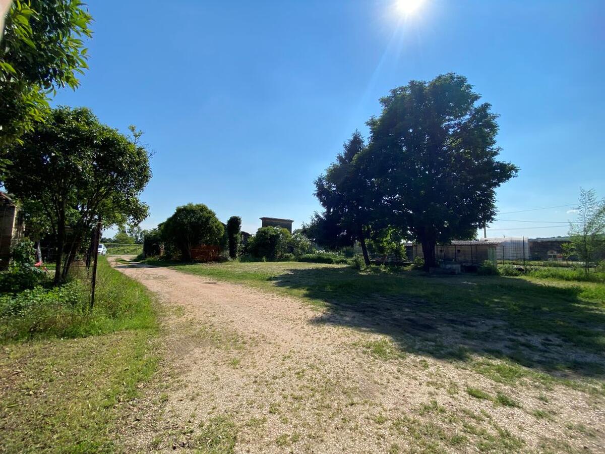 immagine annuncio 3 di 8