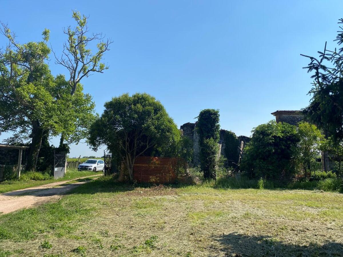 immagine annuncio 4 di 8