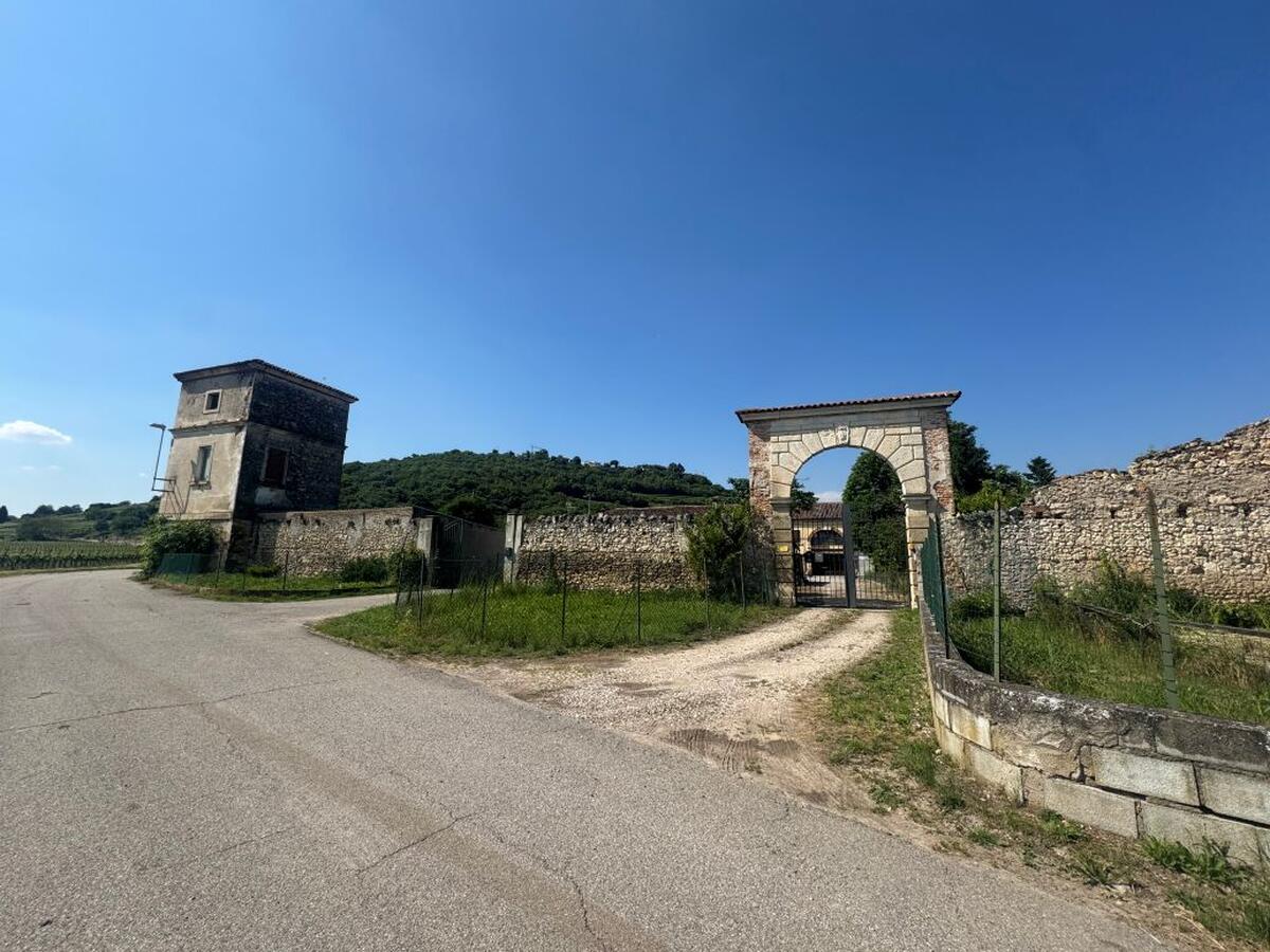 immagine annuncio 2 di 8