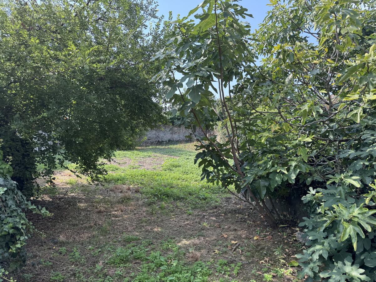 Rustico / Casale Residenziali in vendita - 15
