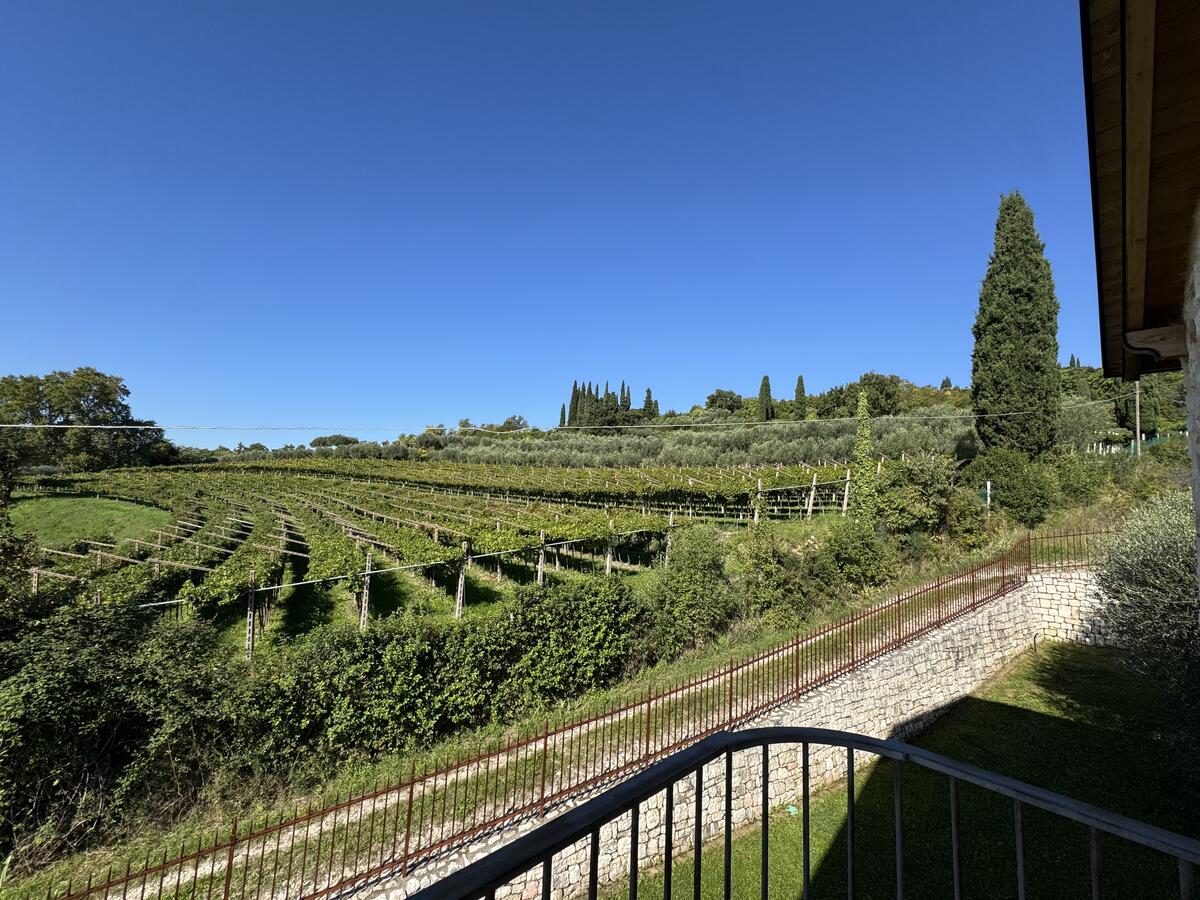 Villa di lusso Residenziali in vendita - 30