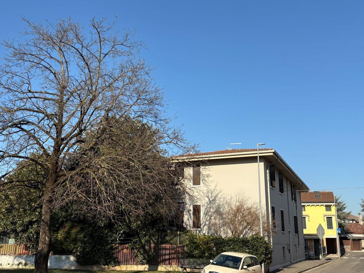 Quadrilocale Residenziali in vendita - 35