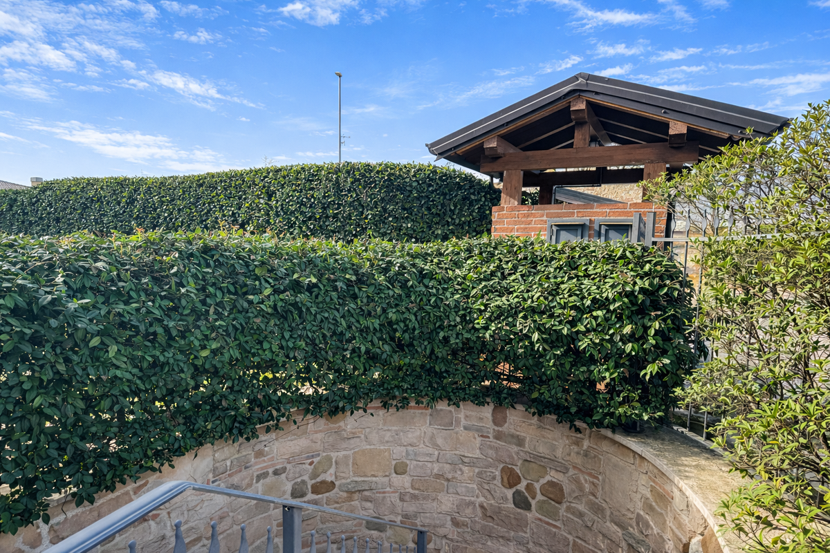 Villa Residenziali in vendita - 60