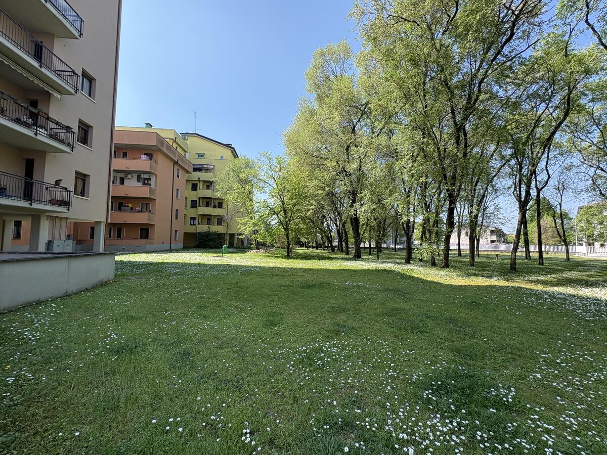 Quadrilocale Residenziali in vendita - 2