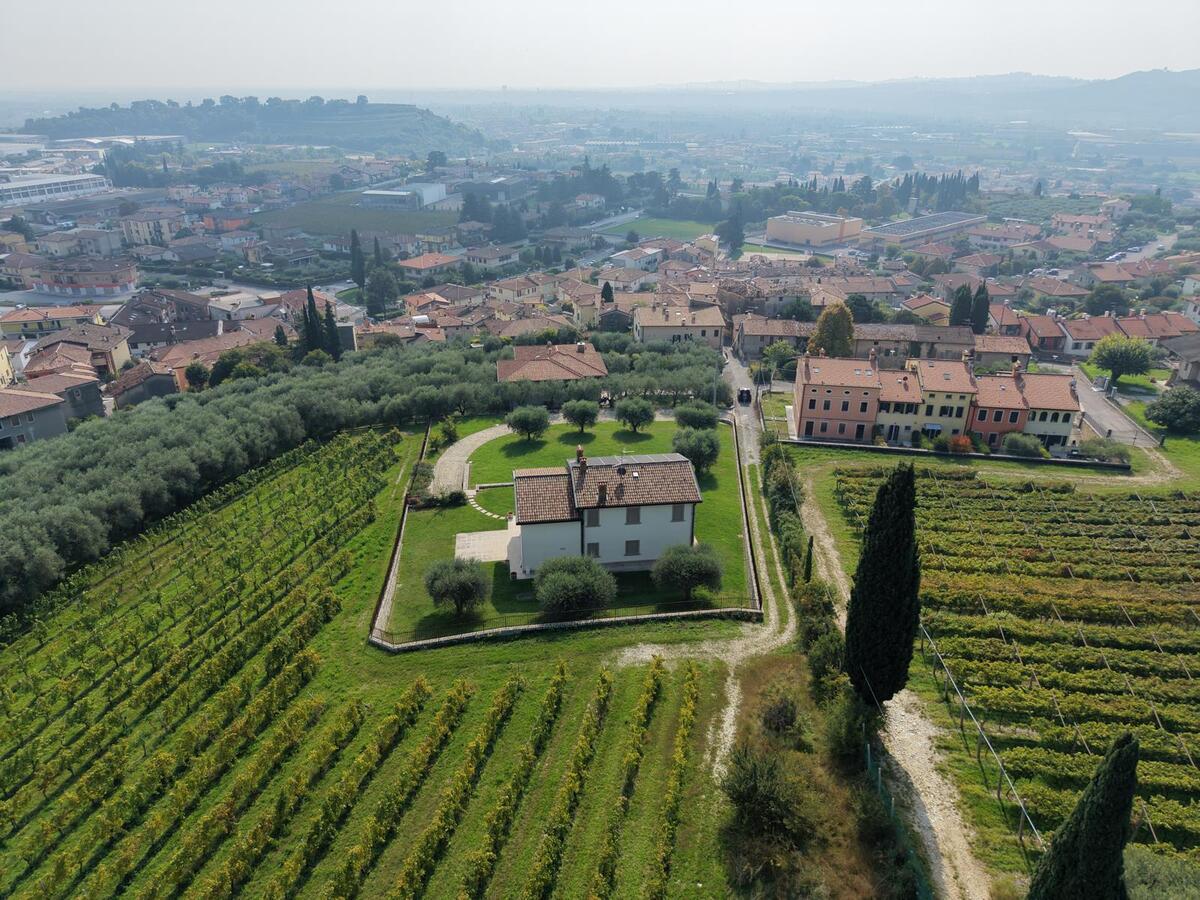 Villa di lusso Residenziali in vendita - 3