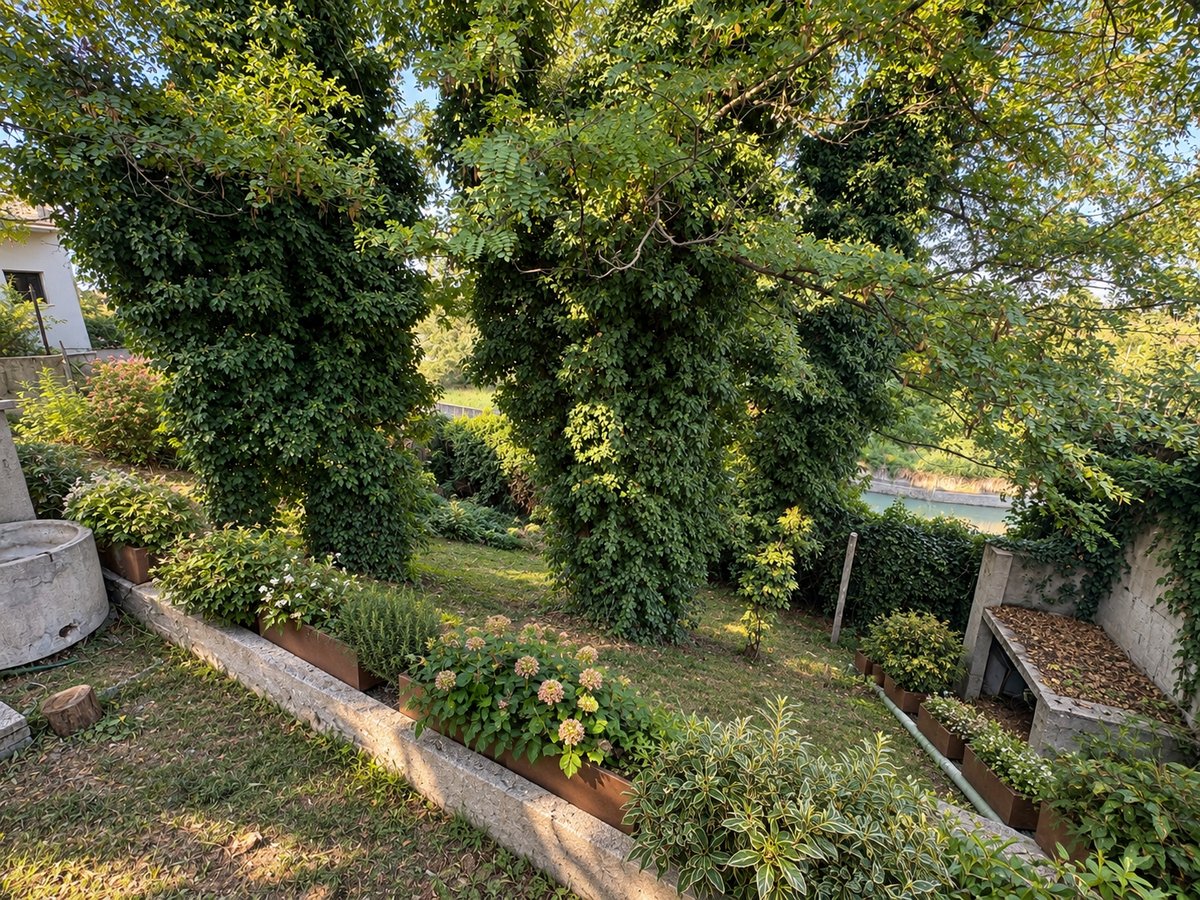 Villa bifamiliare Residenziali in vendita - 21