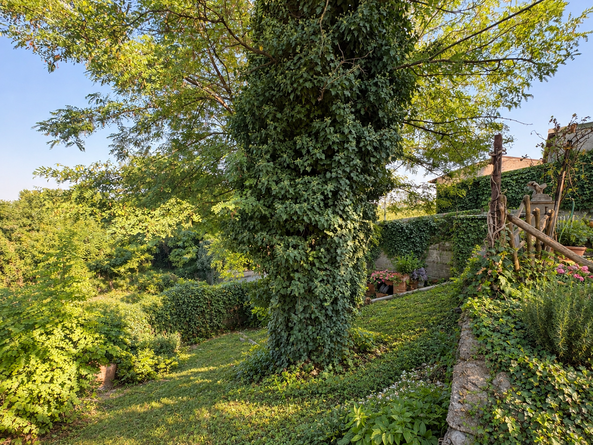 Villa bifamiliare Residenziali in vendita - 22
